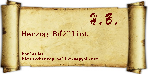 Herzog Bálint névjegykártya